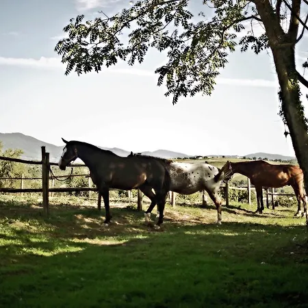 Farm stay Holiday Podere Orzalume Annesso *