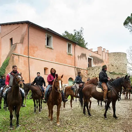 Farm stay Holiday Podere Orzalume Annesso Corbara (Umbria)