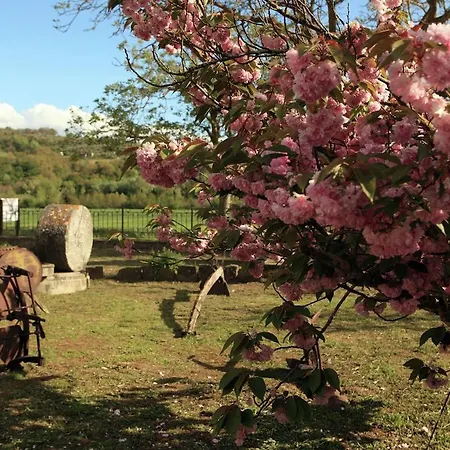 Farm stay Holiday Podere Orzalume Annesso